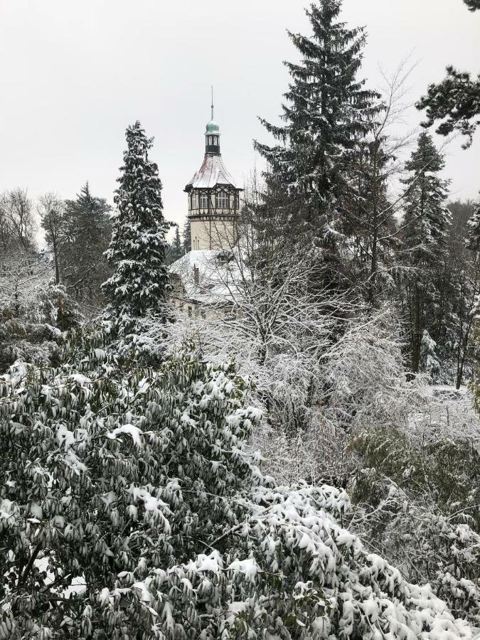 Villa Eden Miluza Zewnętrze zdjęcie